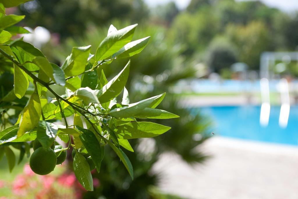 Hotel Harrys' Garden Abano Terme Exterior photo